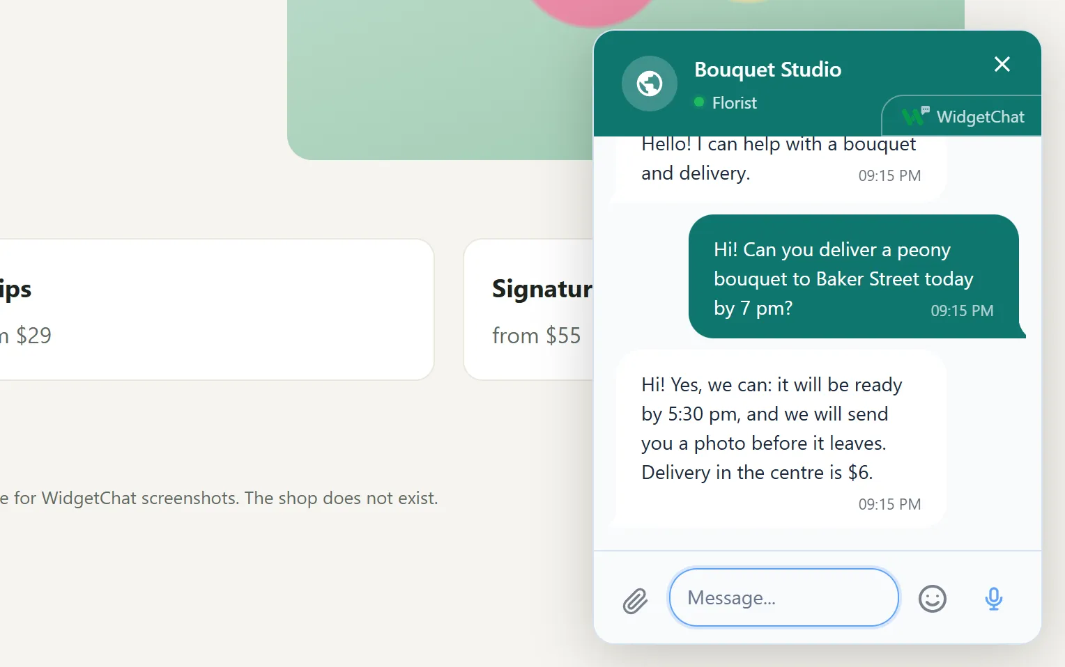 The WidgetChat window on a website: a visitor question and a support reply